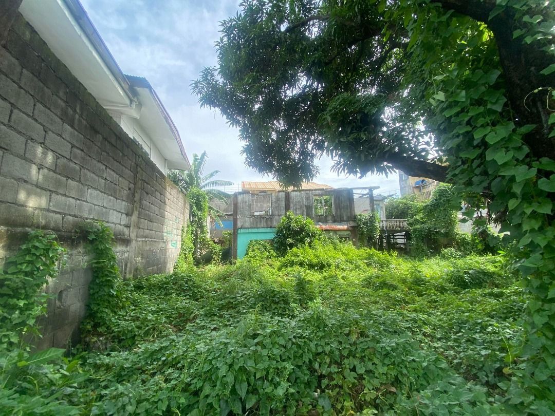 Sun Valley Corner Lot For Sale Paranaque on Carousell