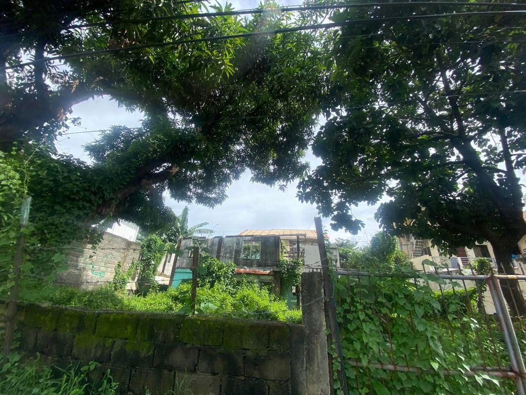 Sun Valley Corner Lot For Sale Paranaque on Carousell