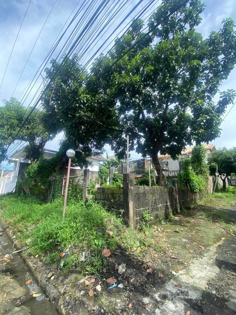 Sun Valley Corner Lot For Sale Paranaque on Carousell