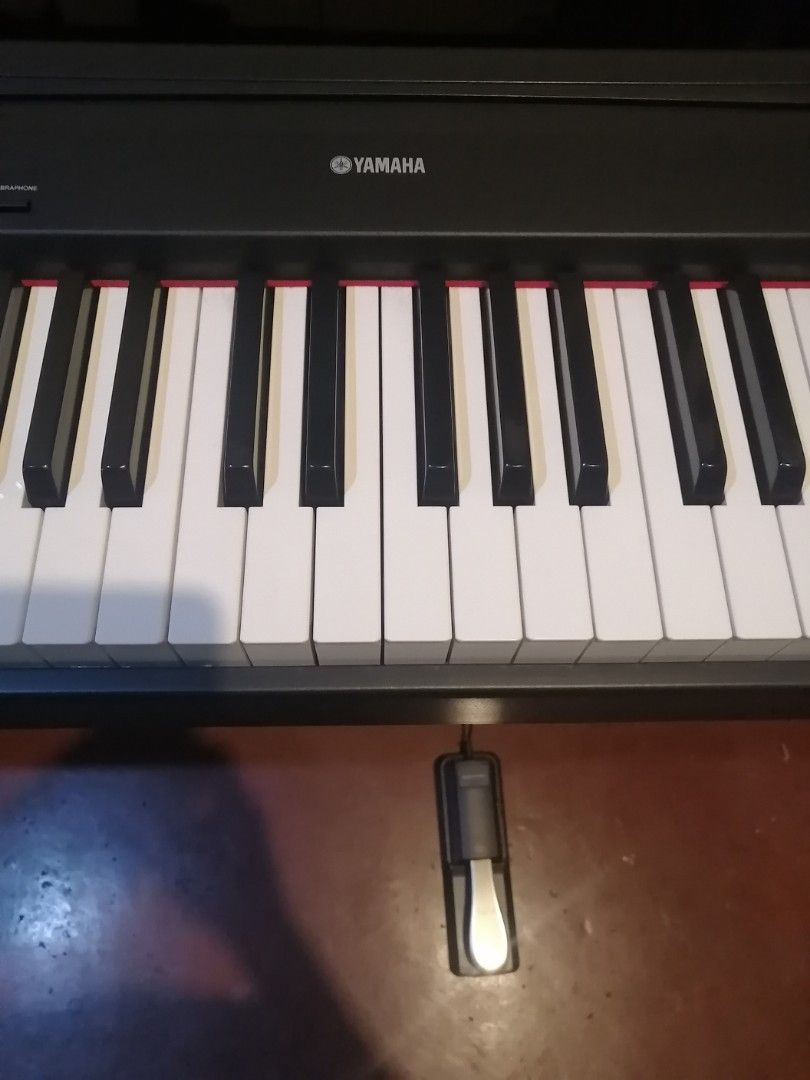 Yamaha P85 Digital Piano, Hobbies & Toys, Music & Media, Musical