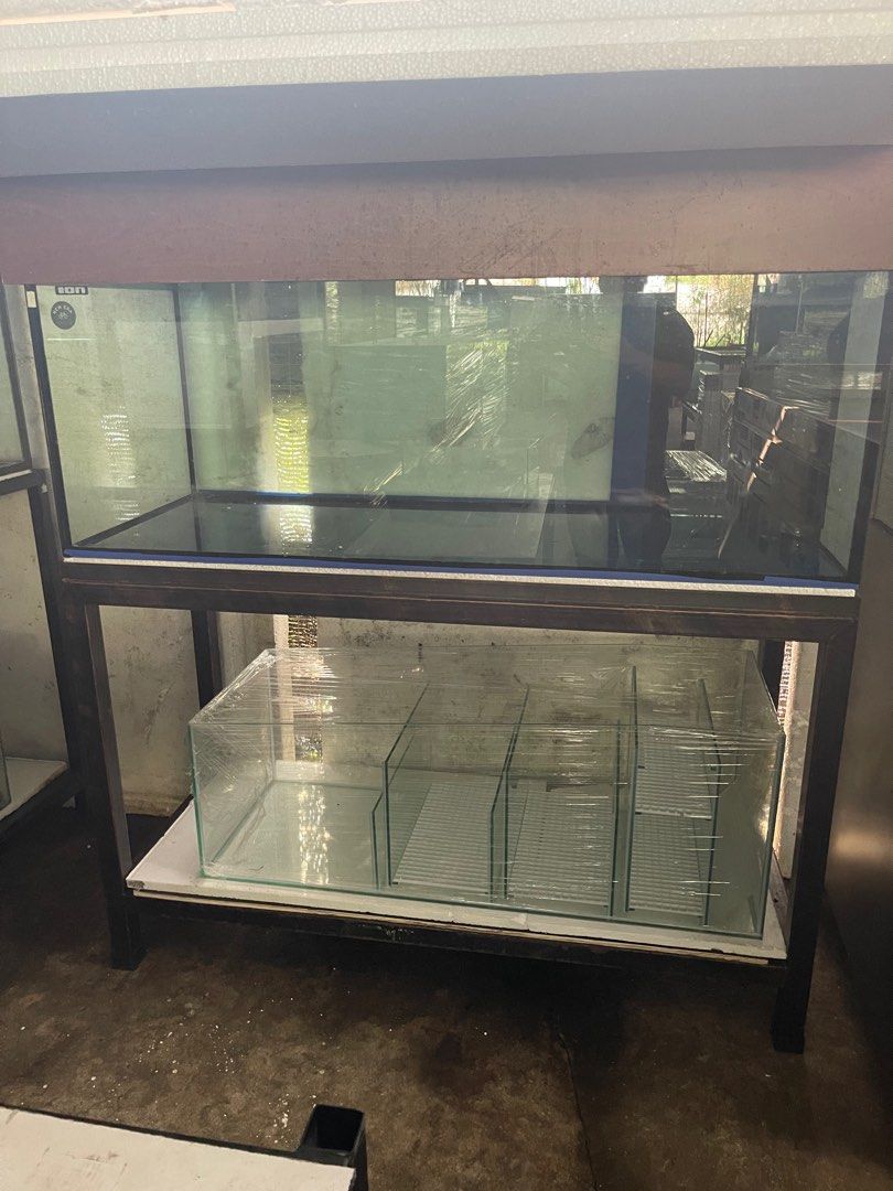 5ft by 2ft by 2.5ft Fish tank and brand new 4ft sump tank, Pet Supplies