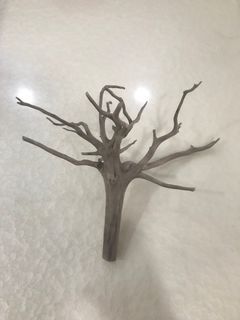 Aquatic Wood for sale $6