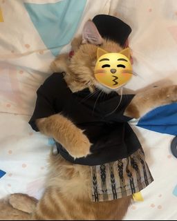 (Category: ) located in . Submitted by mimierashop (Listing ID 1226448828, Image 1). Description: .