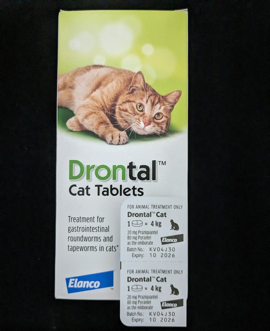 Bayer Drontal Cat Deworming Tablets (10/2026), Pet Supplies, Homes