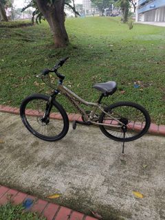 (Category: ) located in . Submitted by bicyclecenter (Listing ID 1226346998, Image 1). Description: .