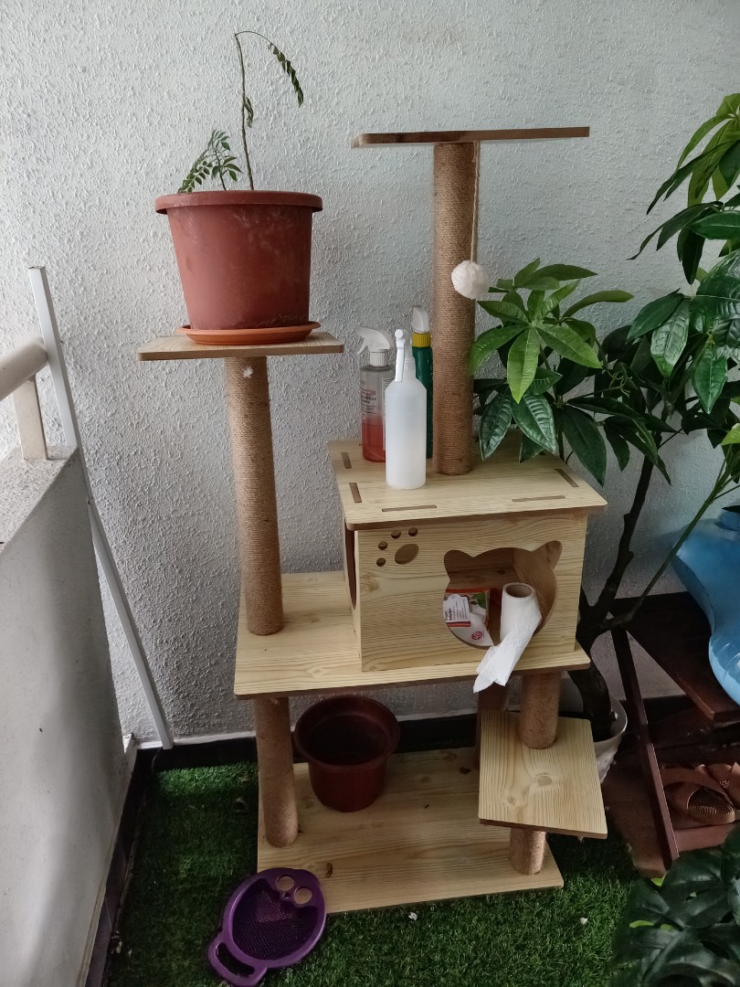 Cat Tree, Pet Supplies, Homes & Other Pet Accessories on Carousell