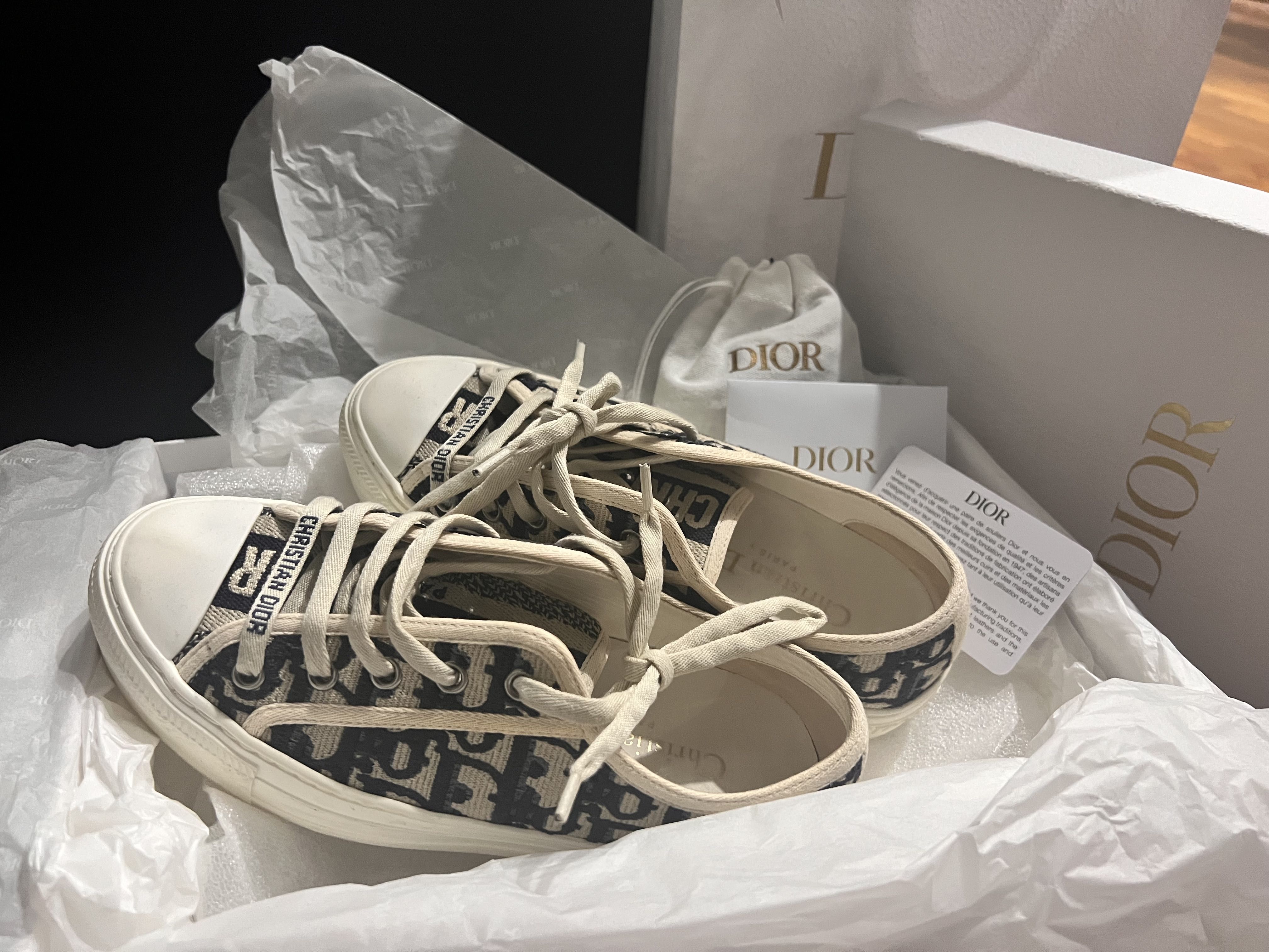 Christian dior low top sneaker store