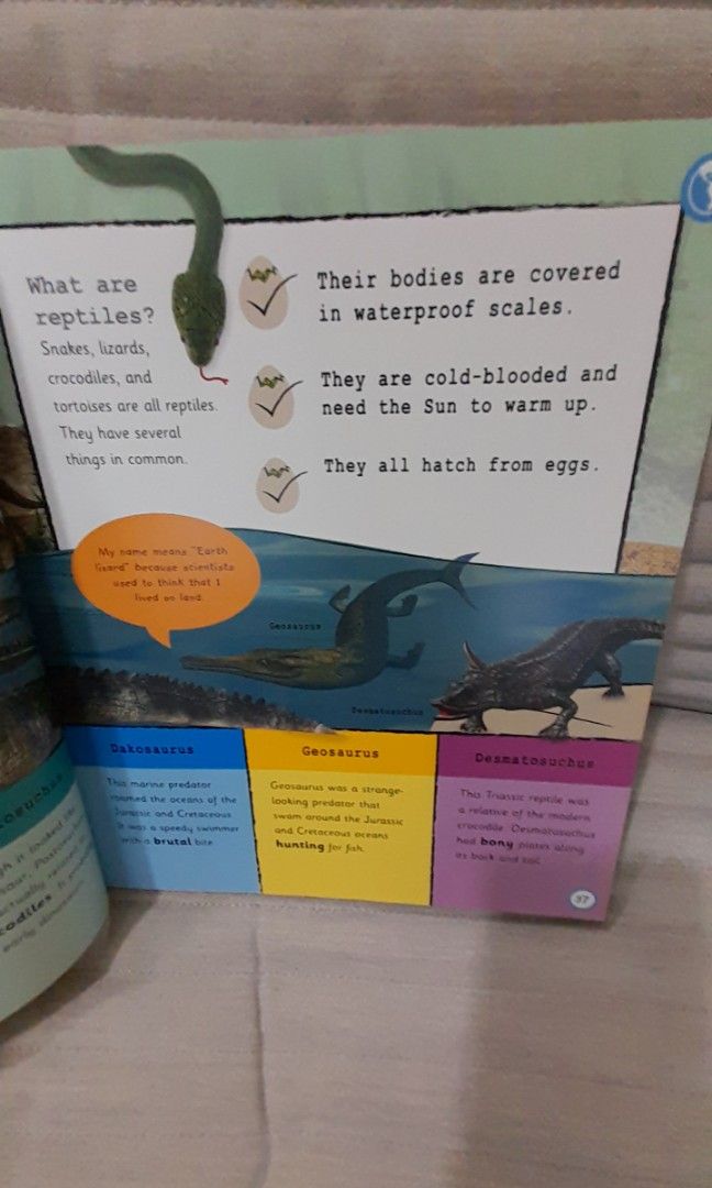 DK My Encyclopedia of Very Important Dinosaurs, Hobbies & Toys, Books ...