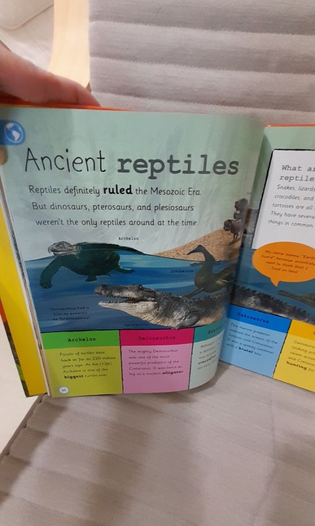 DK My Encyclopedia of Very Important Dinosaurs, Hobbies & Toys, Books ...