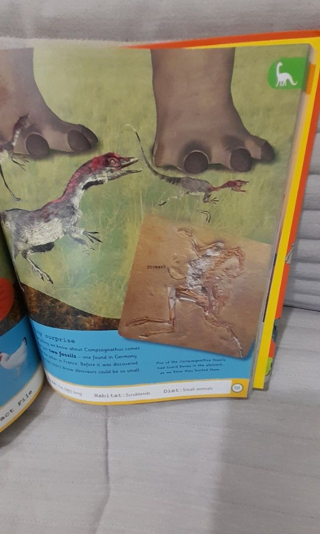 DK My Encyclopedia of Very Important Dinosaurs, Hobbies & Toys, Books ...