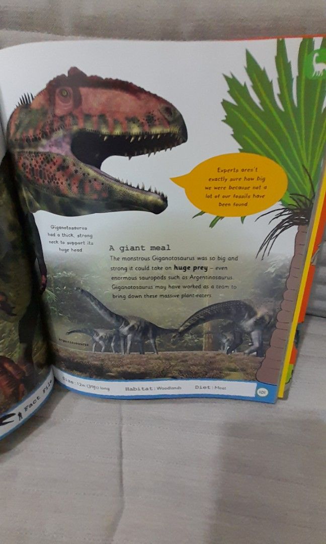 DK My Encyclopedia of Very Important Dinosaurs, Hobbies & Toys, Books ...
