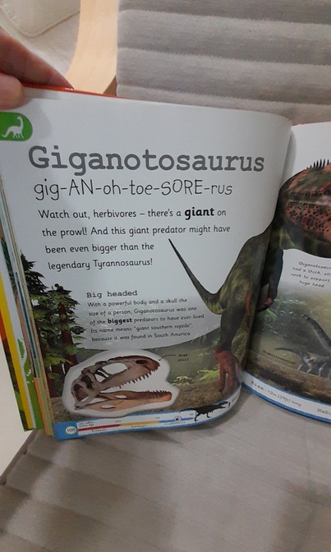 DK My Encyclopedia of Very Important Dinosaurs, Hobbies & Toys, Books ...
