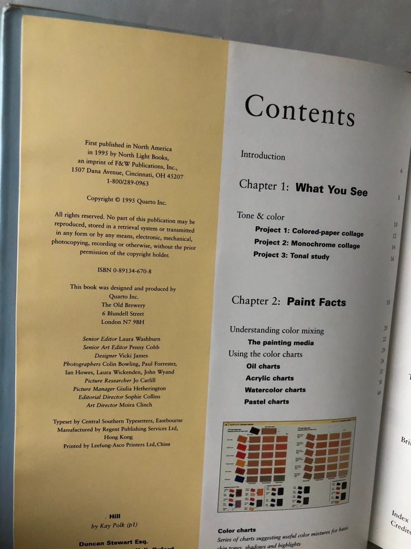 How to Paint Skin Tones by James Horton 1995 HB, Hobbies & Toys, Books