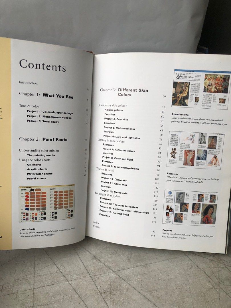 How to Paint Skin Tones by James Horton 1995 HB, Hobbies & Toys, Books