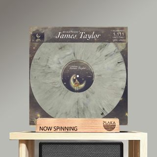 James Taylor - My Old Friend Viny LP Plaka
