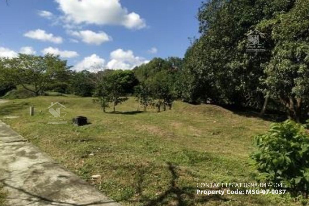 MSG070037 FORECLOSED Residential lot at Lanzones Drive, Ayala