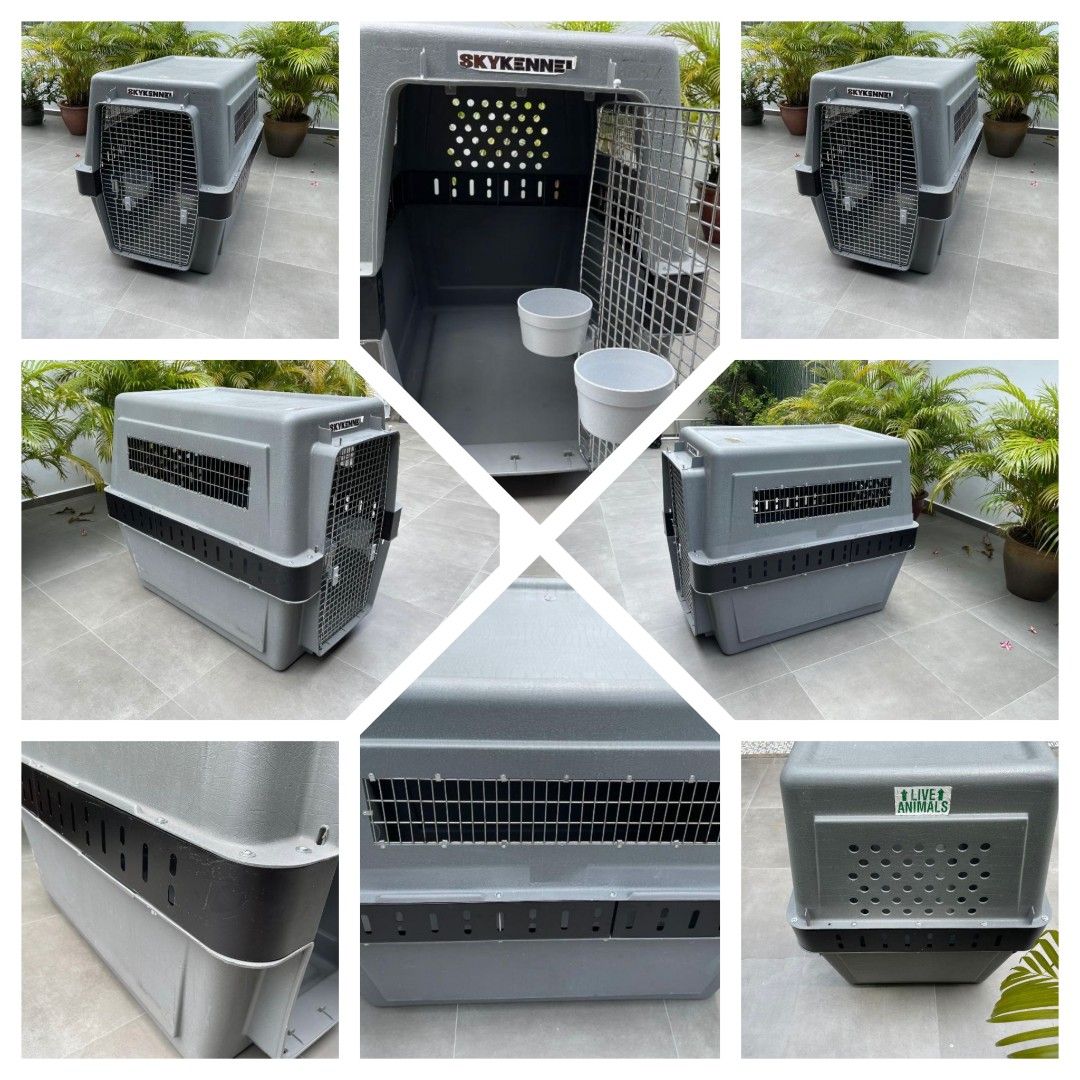 Petmate airline approved crate Pet Supplies Homes Other Pet