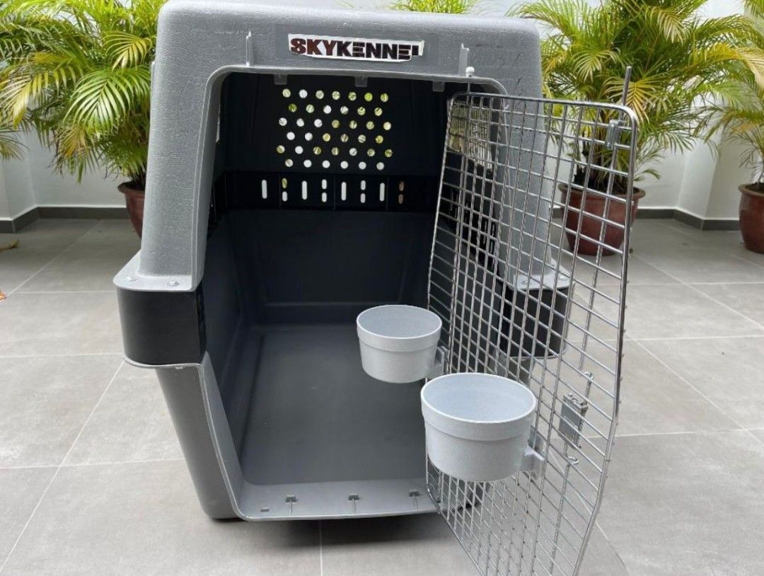 Petmate airline approved crate, Pet Supplies, Homes & Other Pet
