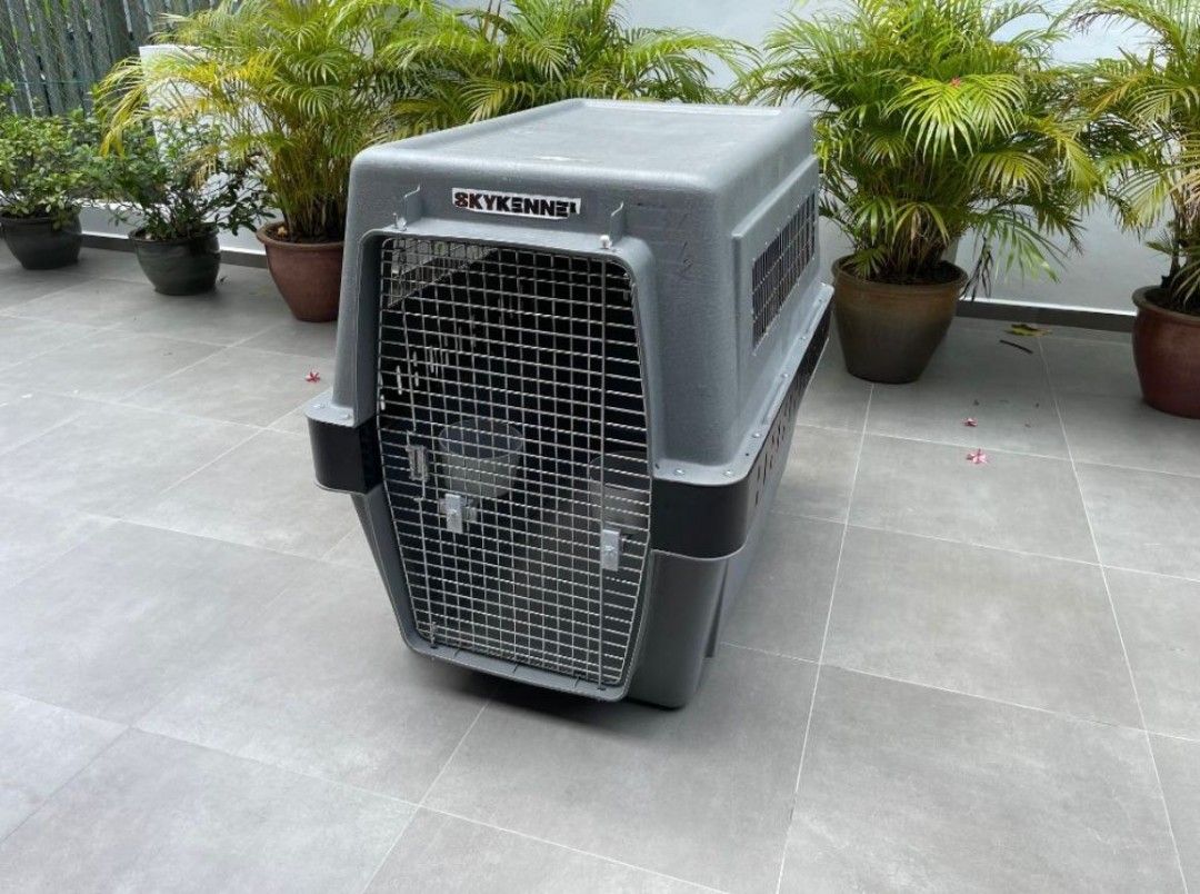 Petmate airline approved crate Pet Supplies Homes Other Pet