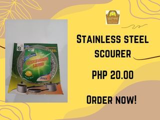 Stainless Steel Scourer