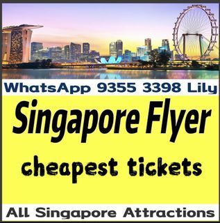 🎡 Singapore Flyer + Time Capsule  e ticket