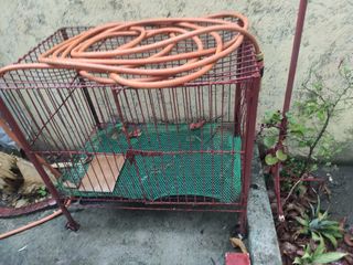 (Category: ) located in . Submitted by jymps (Listing ID 1226578745, Image 1). Description: .