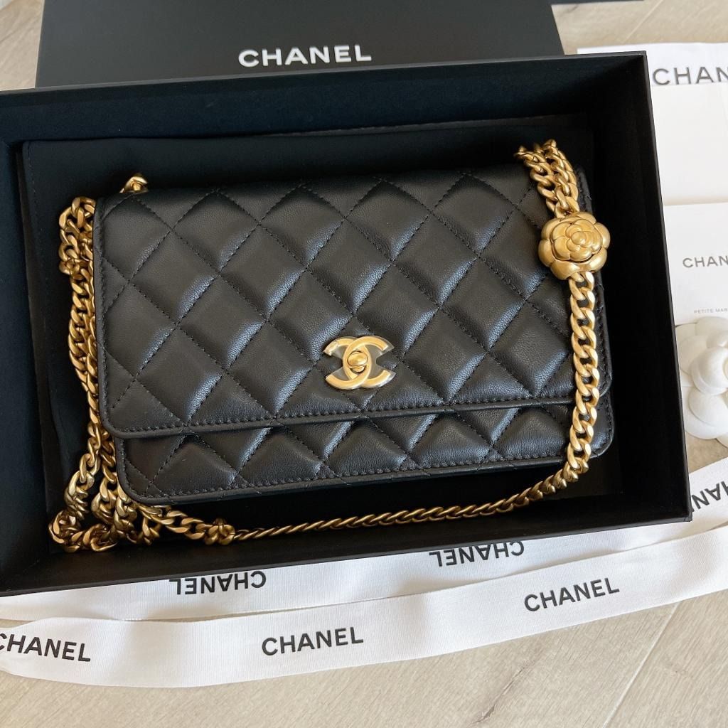 CHANEL, Bags, Chanel Timeless Woc Wallet On A Chain Crossbody Pearl Crush  Adjustable Chain