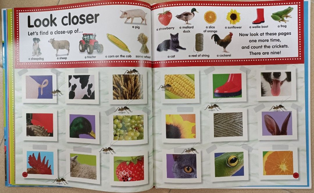 Hide and seek best sale farm