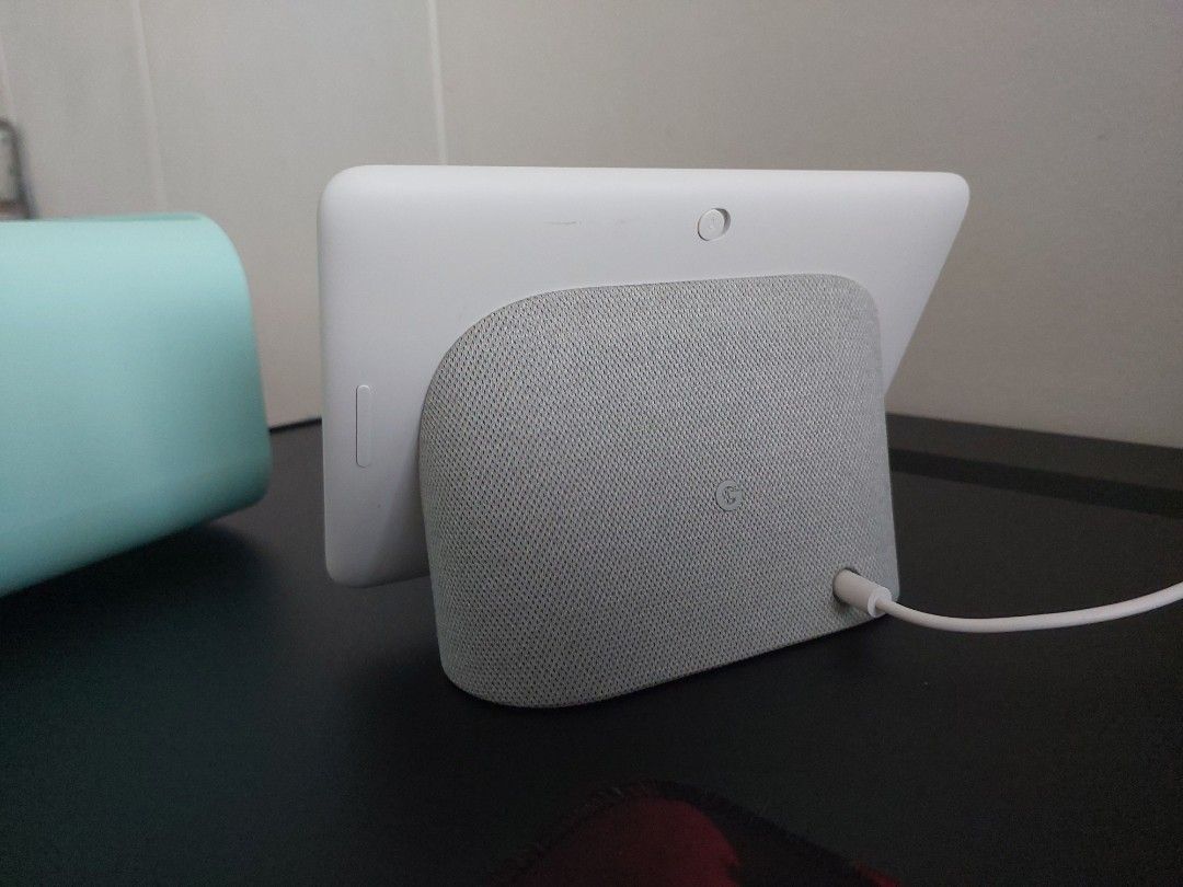 Google home sales hub ethernet