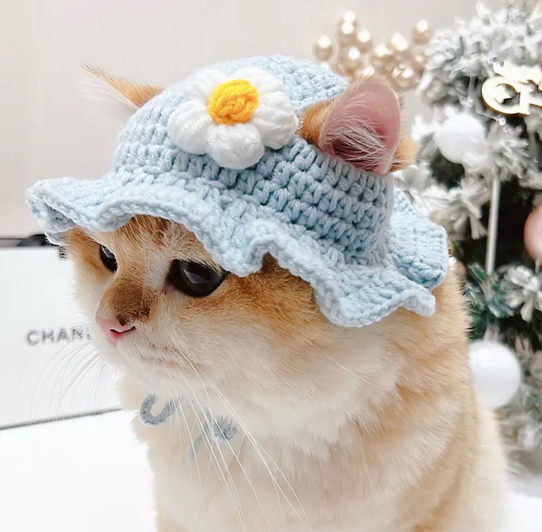 Cat fashion accessories top