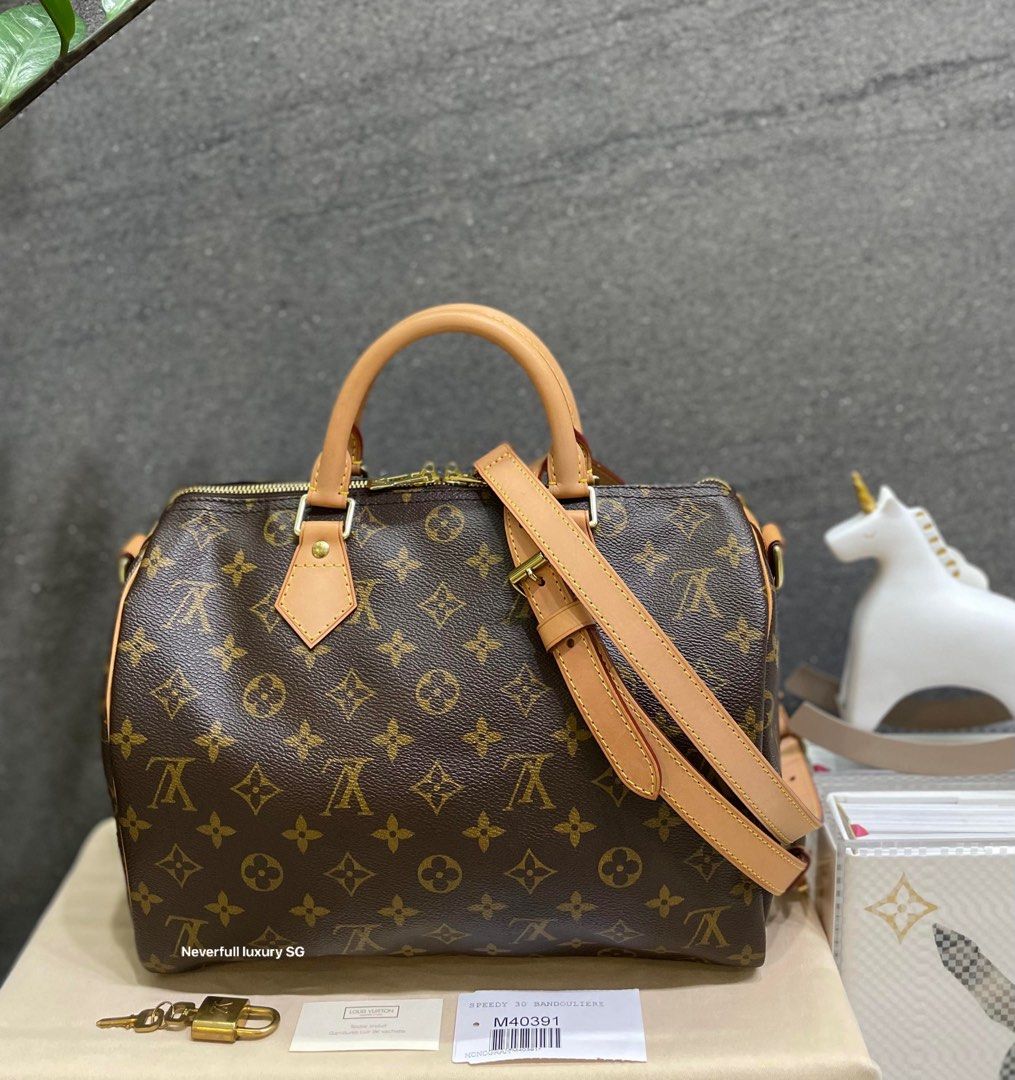 Designer Handbag Review Louis Vuitton Neverfull MM vs Louis Vuitton  Speedy Bandouliere 30  My Kind of Sweet