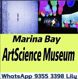 Marina Bay ArtScience Museum Singapore e ticket