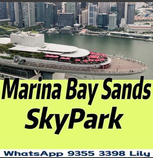 Mbs Marina Bay Sands SkyPark