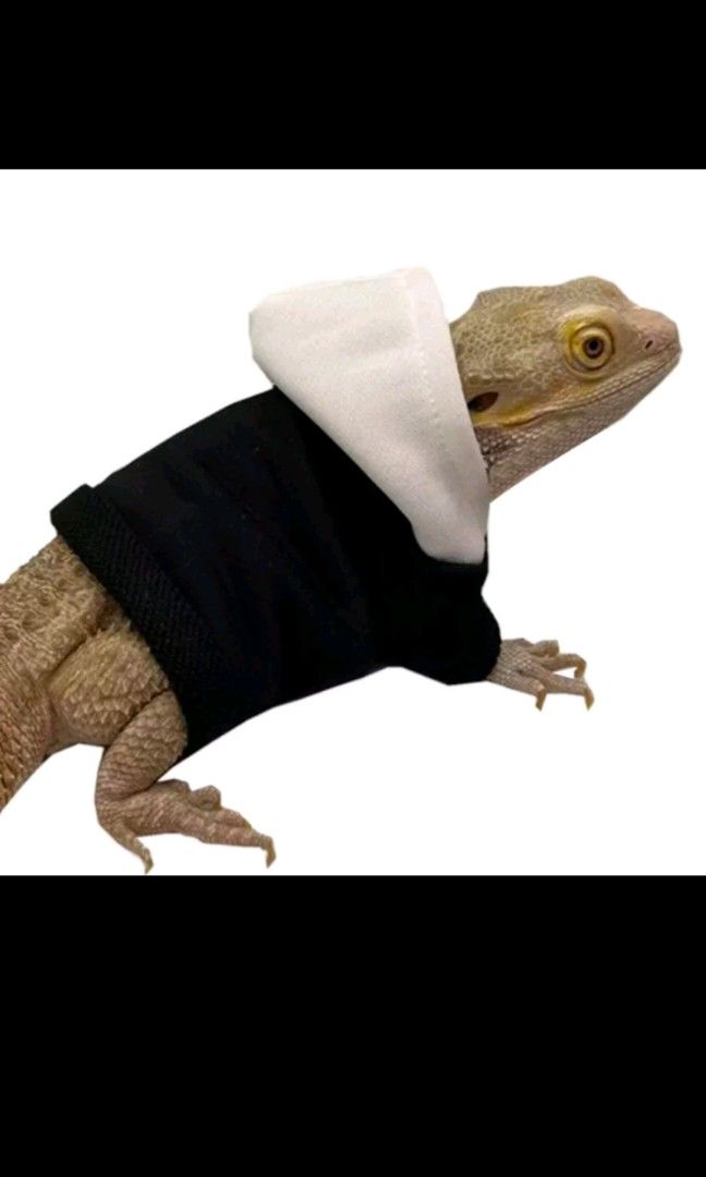 Bearded dragon hoodie store
