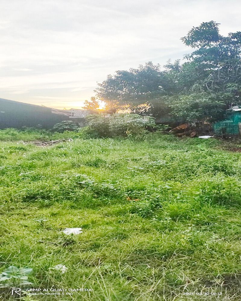 tanah_dijual_murah_siap_bangun_1681442554_9f4c7c6a_progressive