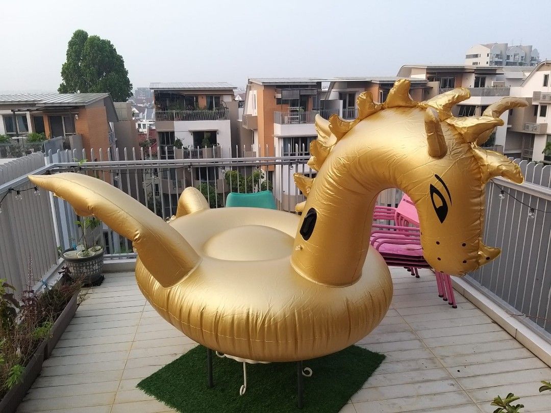 Very large inflatable dragon pool, Sports Equipment, Sports & Games