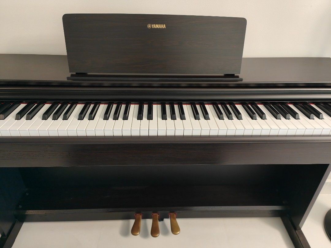 Yamaha Arius YDP 143, Hobbies & Toys, Music & Media, Musical