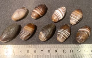 高古蚕丝玛瑙 Old Sardonyx Beads 寻缘古董 GURU ANTIQUES