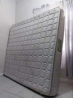 Ambassador Bed Grandeur Mattress: 72×75×11"Thk