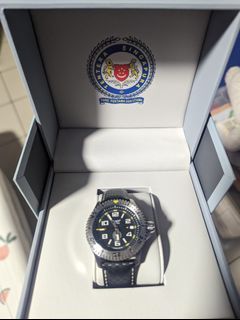 Aviator Watch