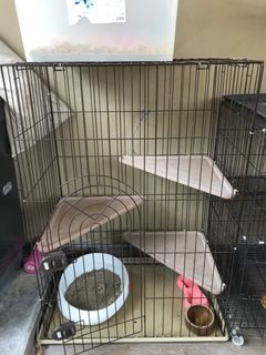 (Category: ) located in . Submitted by wandazedbianca86 (Listing ID 1226711776, Image 1). Description: .