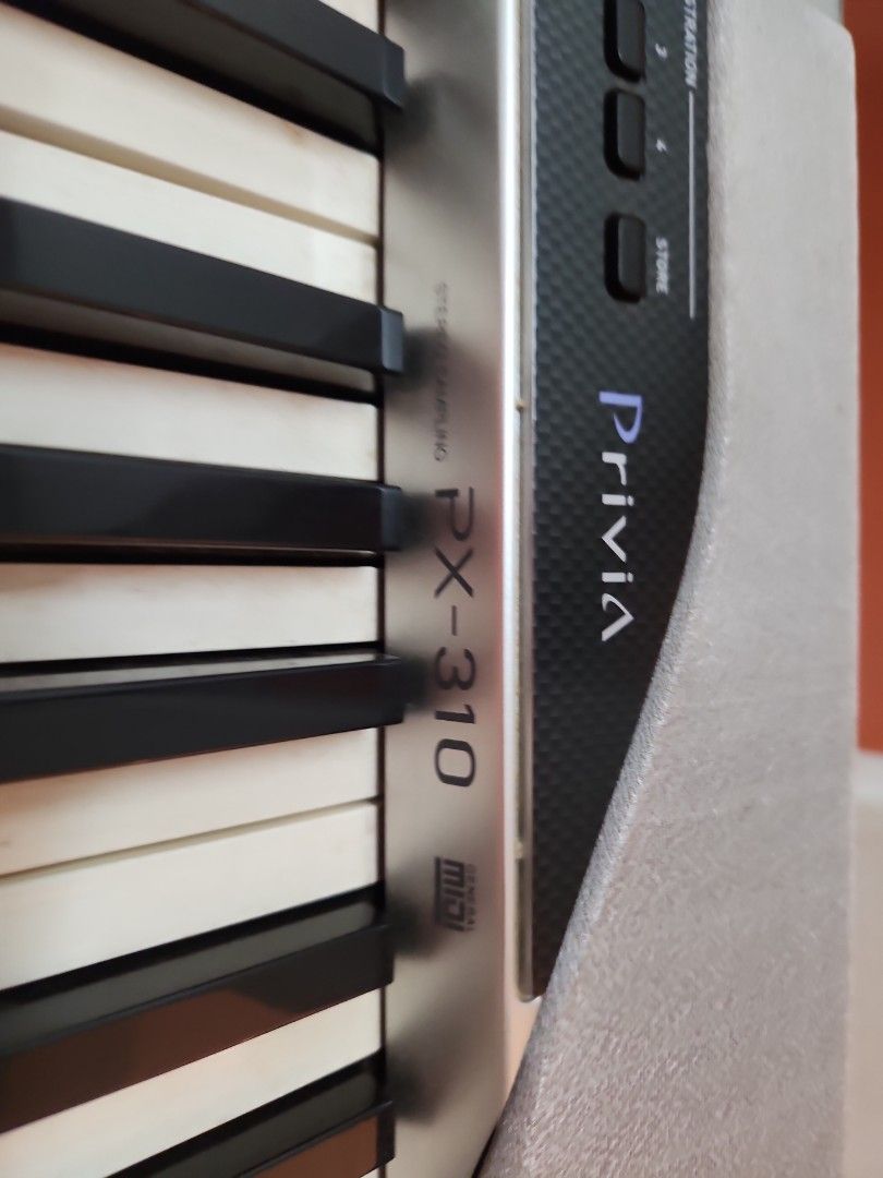Casio hotsell px 310