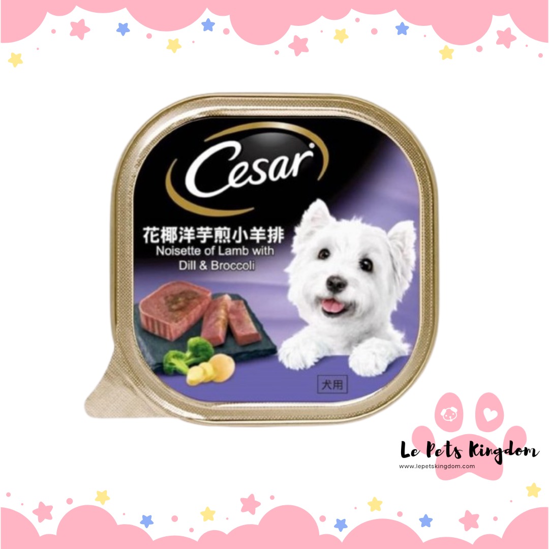 Cesar lamb discount