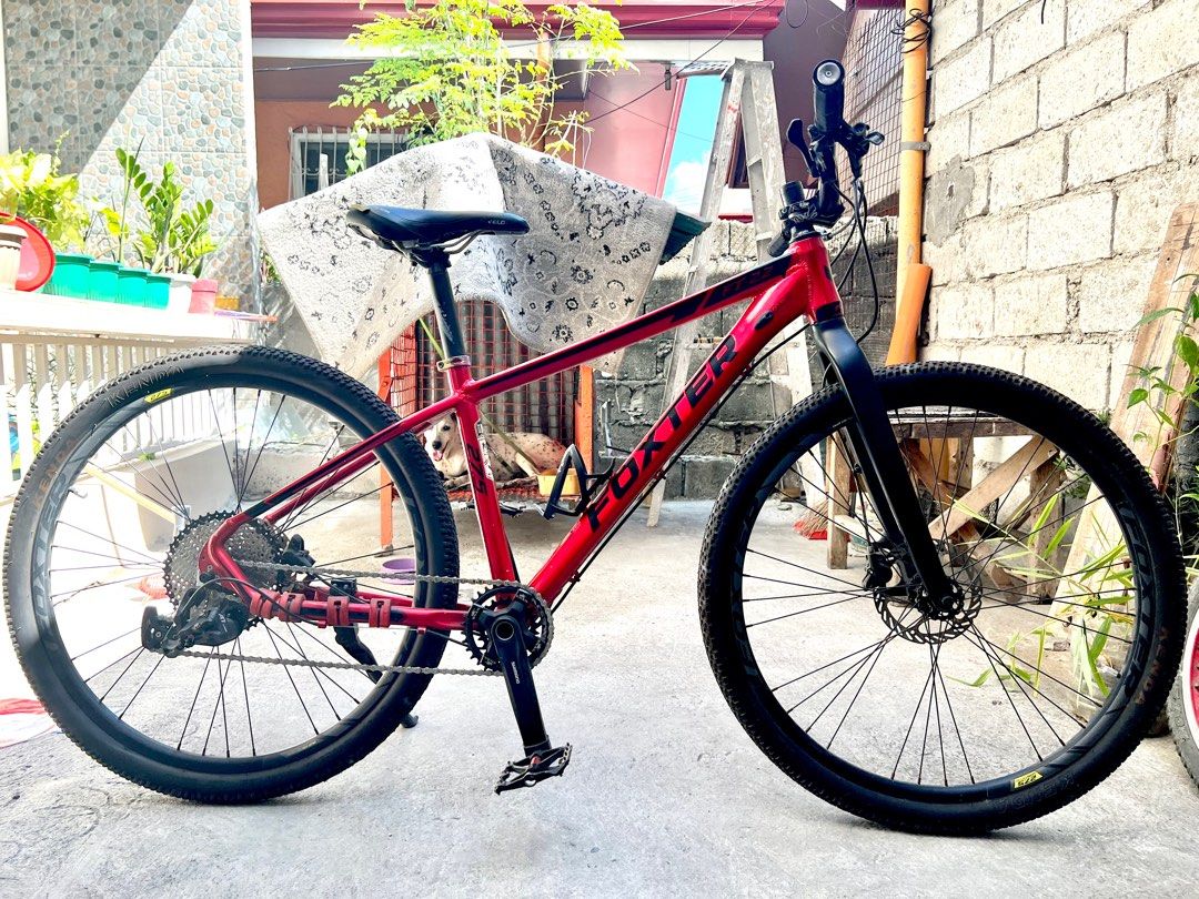 Foxter princeton ft 2.1 2025