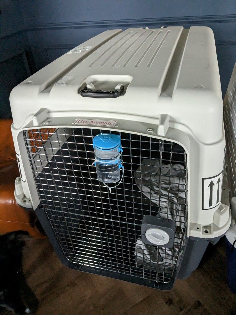 IATA approved Giant Pet Kennel, Pet Supplies, Homes & Other Pet