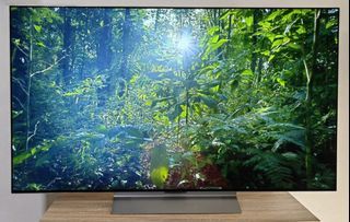 LG 4K SMART OLED TV