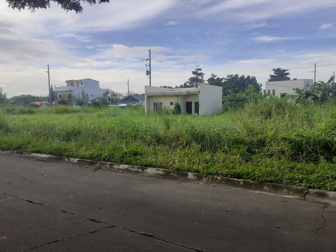 Lot For Sale In San Antonio South Subdivision, Binan, Laguna, Property
