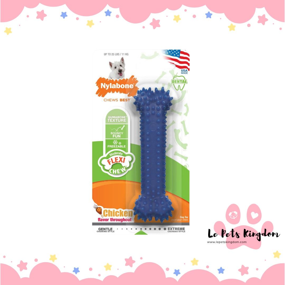 Nylabone Dental Chew Flexible Petite Pet Supplies Homes Other