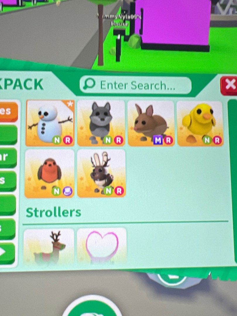 qyop adopt me roblox pets, Video Gaming, Gaming Accessories, InGame