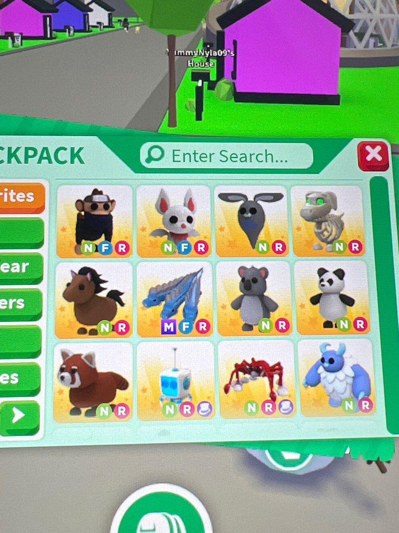 qyop adopt me roblox pets, Video Gaming, Gaming Accessories, InGame